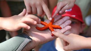 Animations enfants sur le camping - Les Samaras à St Jean de Monts