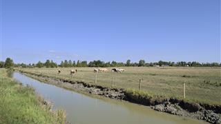 Camping à Saint Jean de Monts en Vendee